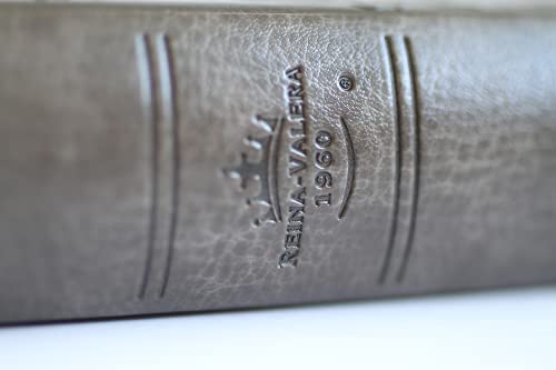 Biblia RVR 1960 letra grande tamaño manual, simil piel gris con nombres de Dios / Spanish Bible RVR 1960 Handy Size Large Print Leathersoft Grey, Names of god