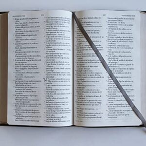 Biblia RVR 1960 letra grande tamaño manual, simil piel gris con nombres de Dios / Spanish Bible RVR 1960 Handy Size Large Print Leathersoft Grey, Names of god