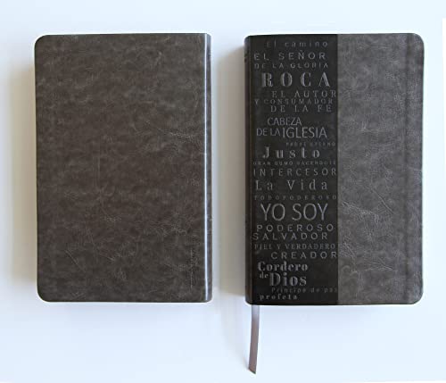 Biblia RVR 1960 letra grande tamaño manual, simil piel gris con nombres de Dios / Spanish Bible RVR 1960 Handy Size Large Print Leathersoft Grey, Names of god