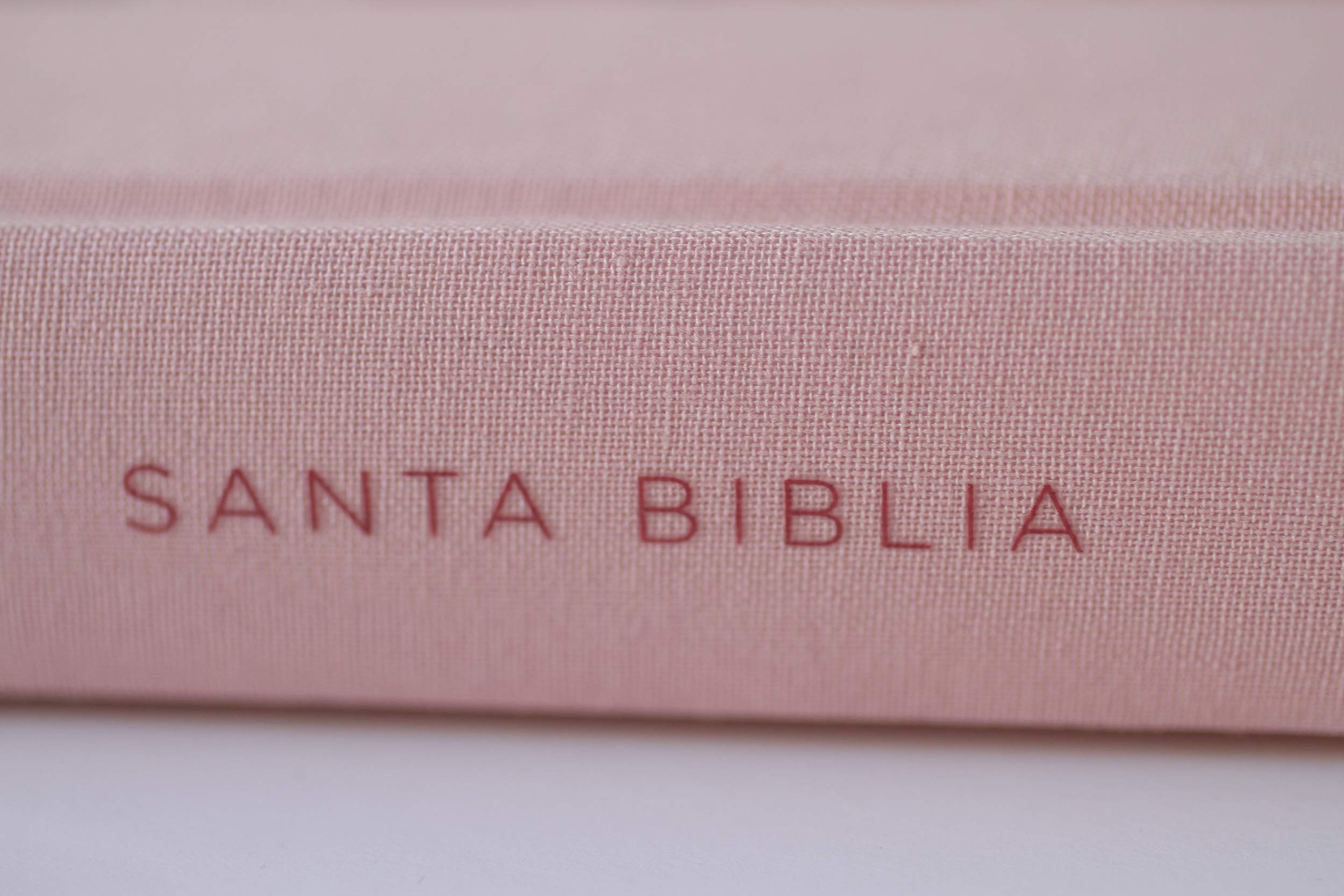 Biblia Reina Valera 1960 letra grande. Tapa Dura, Tela rosada con flores, tamaño manual / Bible RVR 1960. Handy Size, Large Print, Hardcover, Pink