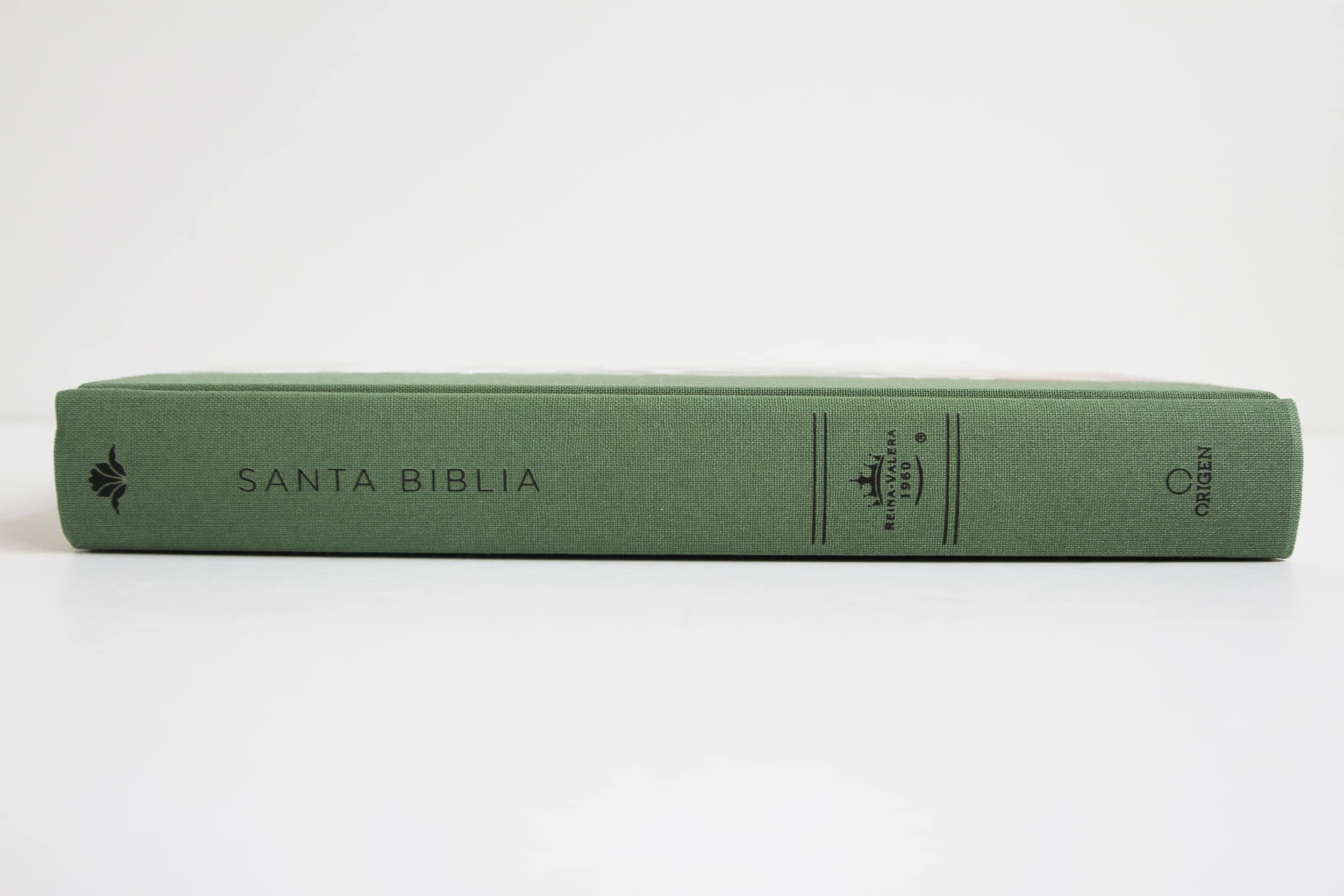 Biblia RVR 1960 letra grande Tapa dura y tela verde con flores tamaño manual / B ible RVR 1960 Handy Size Large Print Hardcover Cloth with Green Floral