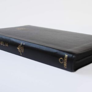 Biblia Reina Valera 1960 letra grande. Símil piel negra, cremallera, tamaño manu al / Holy Bible RVR 1960. Handy Size, Large Print, Leathersoft, Zipp