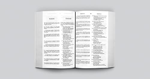 ESV Spanish/English Parallel Bible (La Santa Biblia RVR 1960 / The Holy Bible ESV, Paperback) (English and Spanish Edition)