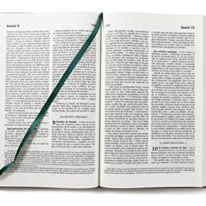 La Biblia Católica: Tamaño grande, Edición letra grande. Tapa dura, verde, con Virgen