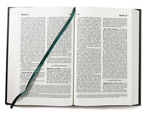La Biblia Católica: Tamaño grande, Edición letra grande. Tapa dura, verde, con Virgen