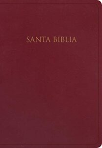 biblia reina valera 1960 para regalos y premios. imitación piel, borgoña | gift and award holy bible rvr60. imitation leather, burgundy (spanish edition)