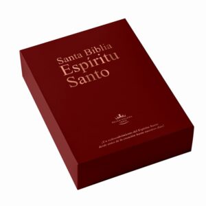 Santa Biblia Espíritu Santo, La Biblia Reina Valera 1960 Edición Español (Vinotinto/Red wine - Spanish Bible)