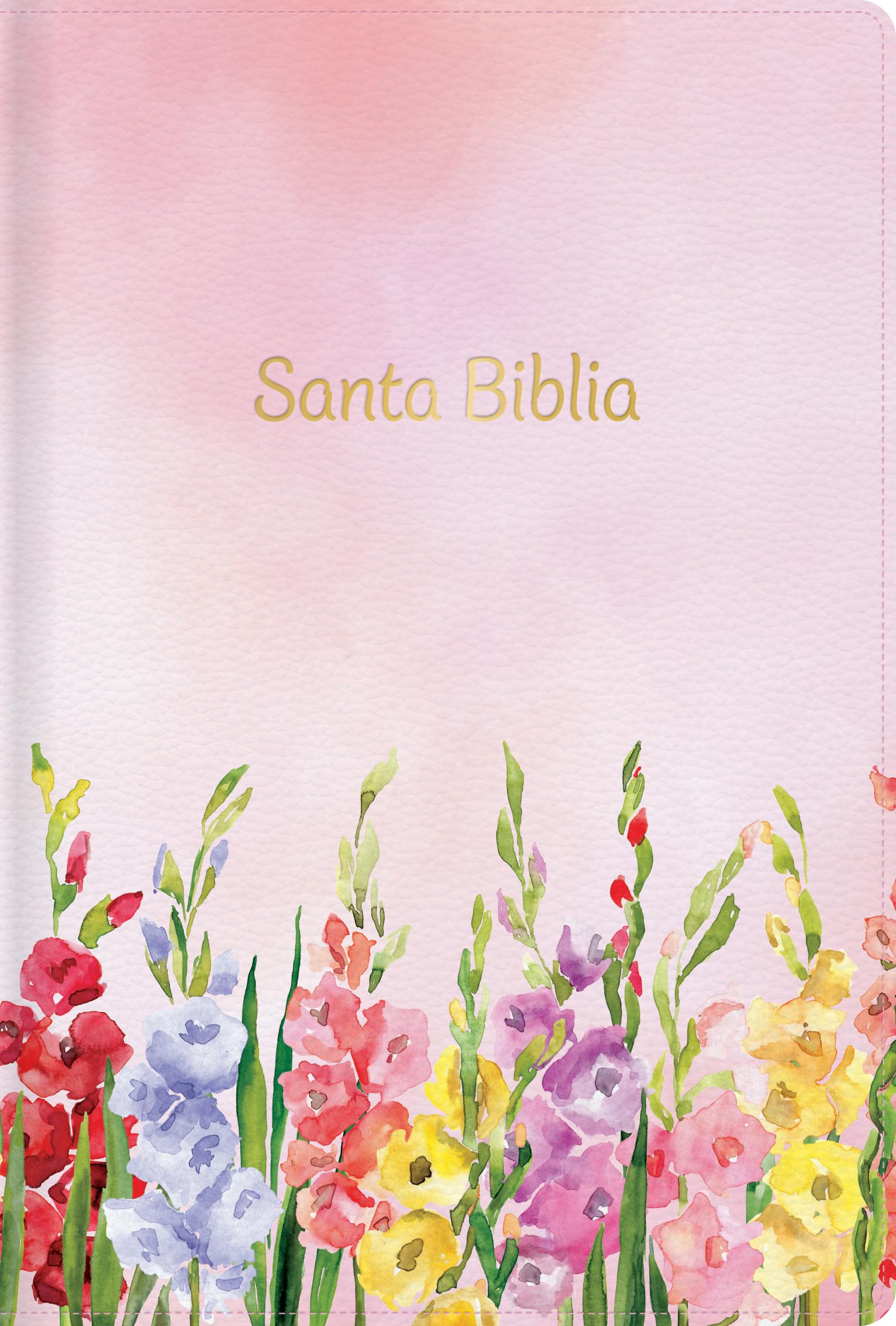RVR 1960 Biblia letra grande tamaño manual edición especial, fucsia símil piel: Santa Biblia (Spanish Edition)