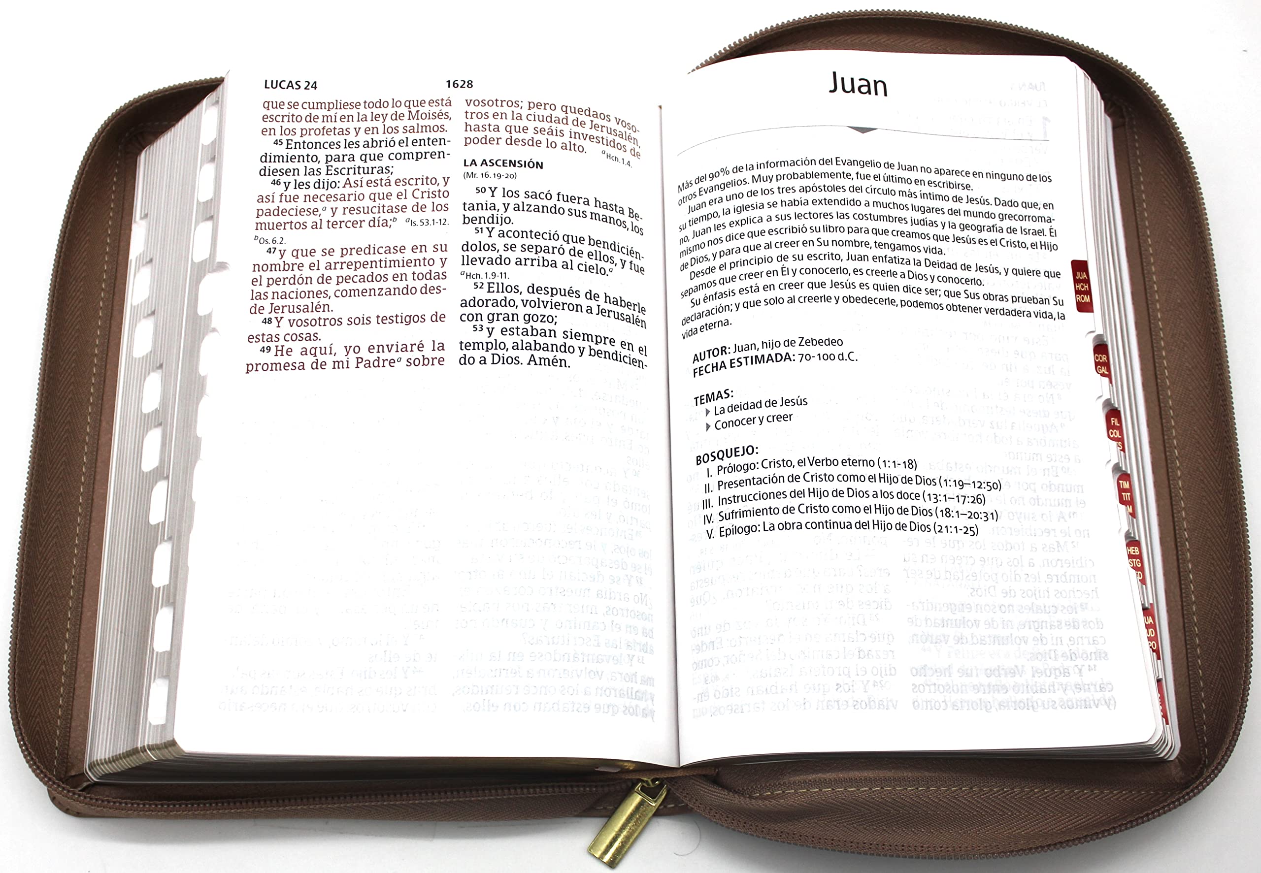 Biblia para Mujeres Reina Valera 1960 Letra Gigante de 14 Puntos Tamano Manual con Cierre y Indice Semil Piel Color Rosa Perla con Dorado Edicion Limitada
