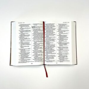 Santa Biblia NTV, letra súper gigante (Tapa dura, Vino tinto, Letra Roja) (Spanish Edition)