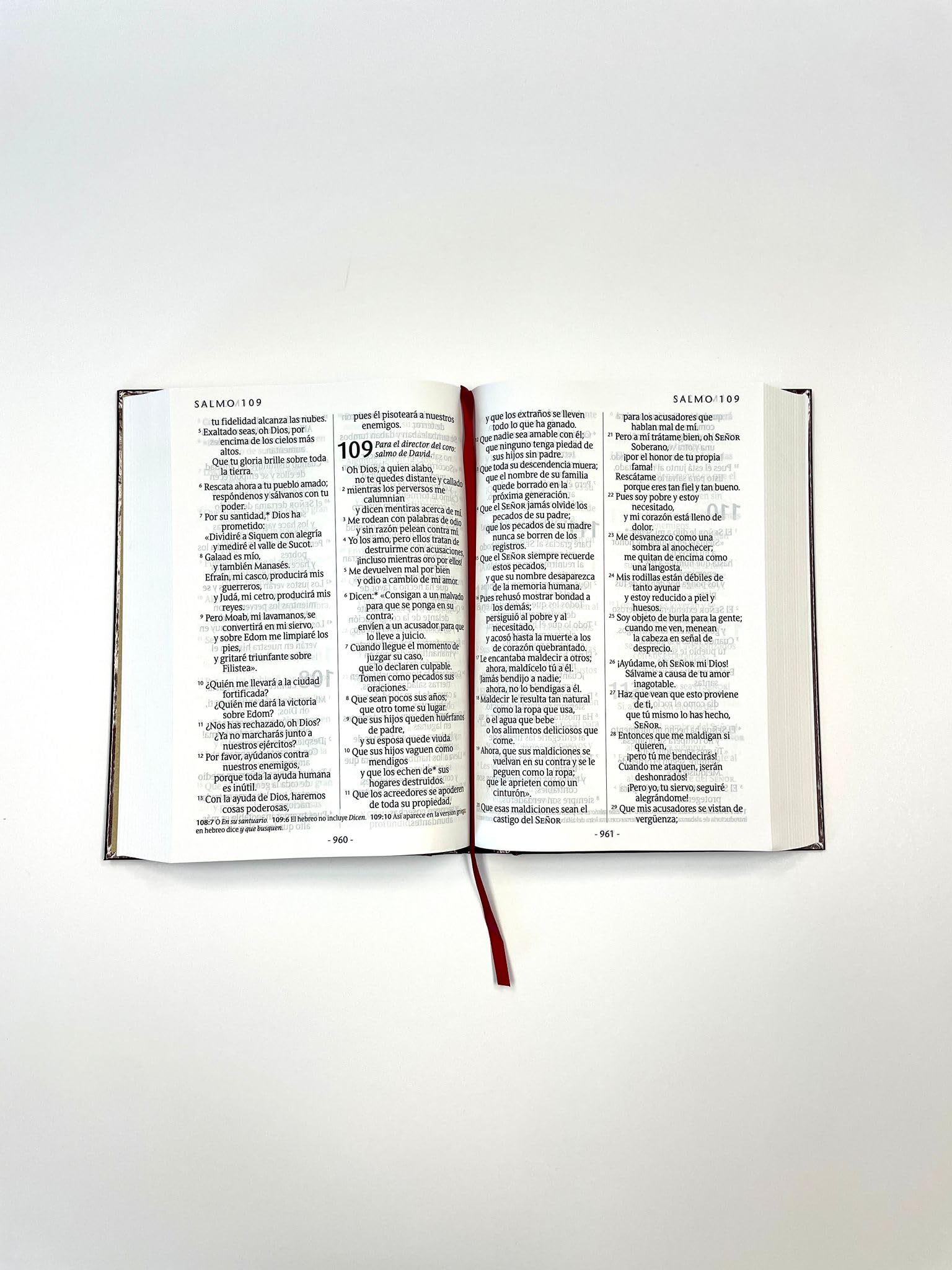 Santa Biblia NTV, letra súper gigante (Tapa dura, Vino tinto, Letra Roja) (Spanish Edition)