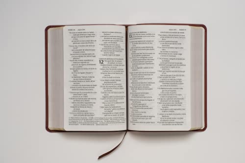 Santa Biblia NTV, Edición compacta, letra grande (SentiPiel, Café, Letra Roja) (Spanish Edition)