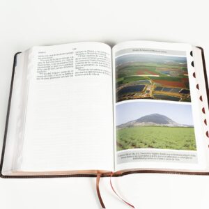Santa Biblia Reina Valera 1960 Letra Gigante con Indice Foro de Semil Piel en color caoba con cafe claro Incluye fotos y ilustraciones