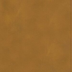 RVR 1960 Biblia ilustrada de la Tierra Santa, café símil piel con índice / RVR 1960 Holy land Study Bible, brown LeatherTouch Indexed (Spanish Edition)