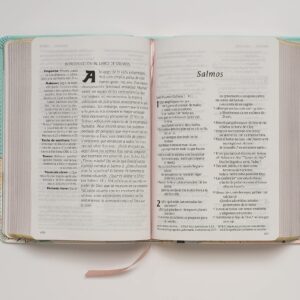 Santa Biblia NTV, Edición compacta, letra grande (SentiPiel, Menta, Letra Roja) (Spanish Edition)