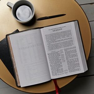 KJV Holy Bible, Giant Print Center-Column Reference Bible, Black Leather-look, 53,000 Cross References, Red Letter, Comfort Print: King James Version