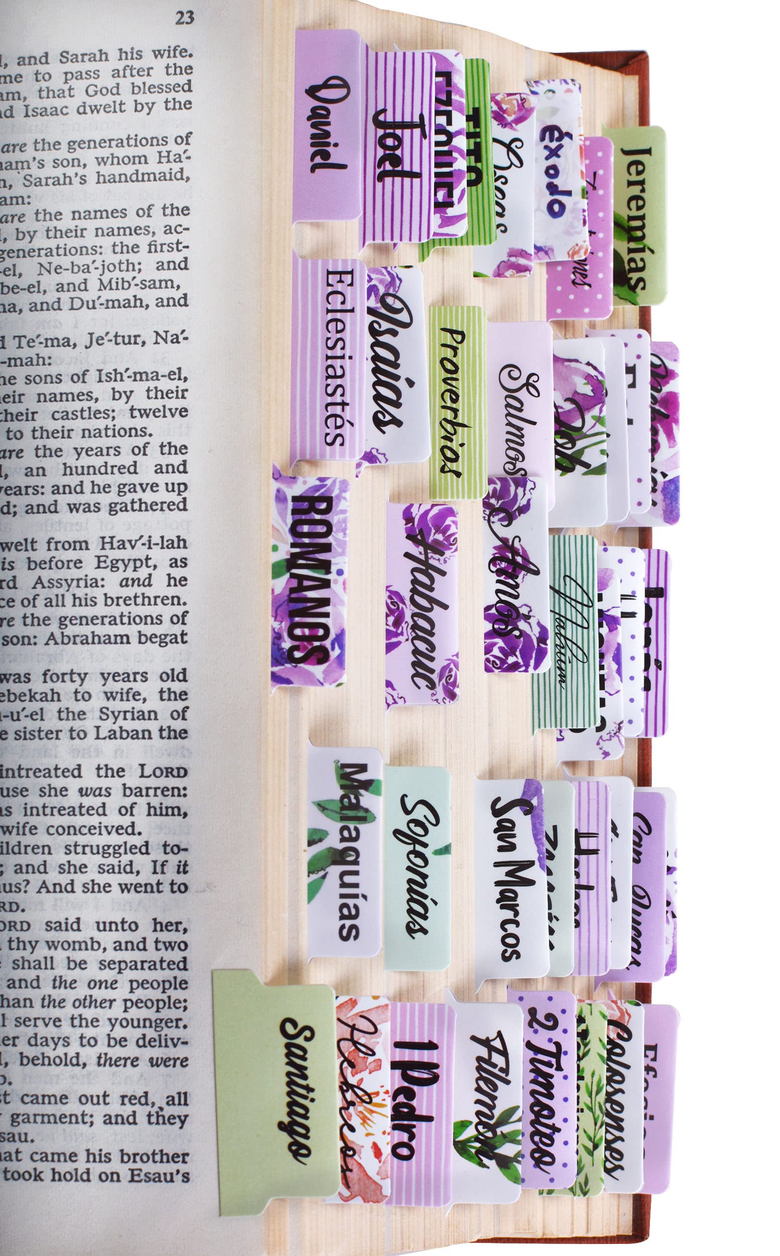 Spanish Bible Tabs for Journaling Bible - 90 Pieces Bible Dividers Tabs for Bible Chapters - Bible Study Supplies - Bible Accessories as Bible Journaling Supplies - Born2Calm