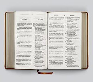 ESV Spanish/English Parallel Bible (La Santa Biblia RVR / The Holy Bible ESV, TruTone, Brown) (English and Spanish Edition)