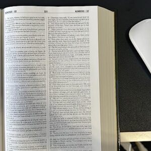 Bilingual Bible RVR1960 / NJKV (Spanish Edition)