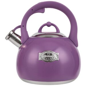 tea kettle for stovetop, food grade stainless steel water kettle, tea pot for home & kitchen, 3.1 quart