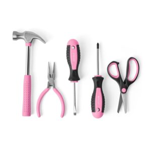 Member's Mark 11" Toolbox with 5 Piece Tool Set - Pink