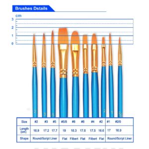 BOSOBO Paint Brush Set, 10pcs Round Pointed Tip Nylon Hair Artist Detail Paintbrushes, Professional Fine Acrylic Oil Watercolor Brushes for Face Nail Body Art Craft Model Miniature Painting, Blue