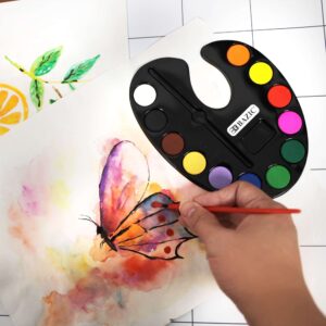 BAZIC Watercolor w/Brush, 12 Colors Non-Toxic Paint Set, for Hobby Fun Art Supplies Vibrant Color Painting, Gift for Kids Artists Beginners, 1-Pack