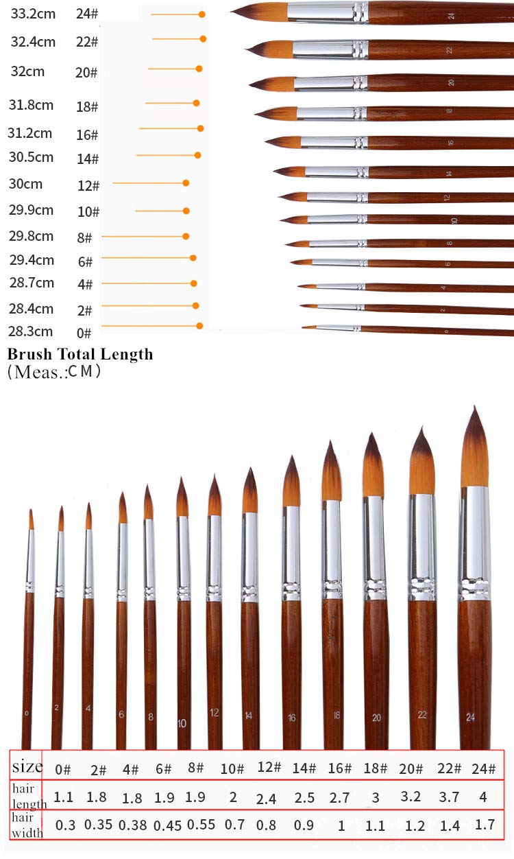 Paint Brushes 13pcs Round Pointed Tip Soft Non-Shedding Nylon Hair Wood Long Handle Acrylic Paint Brush Set for Canvas Painting Watercolor Paint Professional Painting Kits (Round 13pcs Longer Handle)