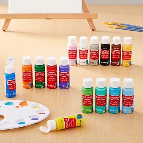 MICHAELS 16 Color Matte Acrylic Paint Value Pack by Craft Smart®