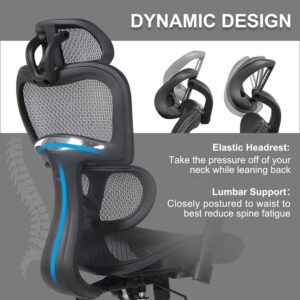 Ergonomic Office Chair, High Back Mesh Chair Computer Desk Chair with Lumbar Support and 3D Adjustable Headrest and Armrests for Home Office, Conference Room, Reception Room, Gaming Room (Dark Black)