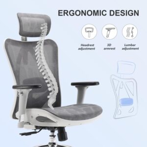 SIHOO M57 Ergonomic Office Chair with 3 Way Armrests Lumbar Support and Adjustable Headrest High Back Tilt Function Light Grey