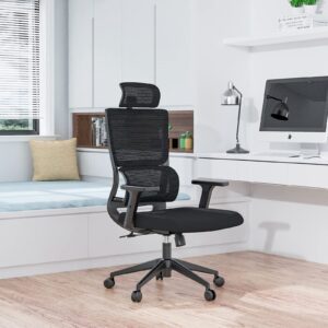 Ergonomic Office Chair with Upgraded Lumbar Support and Adjustable Armrest Headrest, Desk Chair with Mesh High Back, Home Office Desk Chair, Computer Chair, Rolling Chair