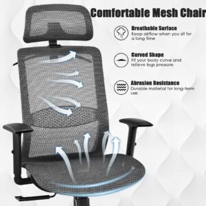 GOFLAME Ergonomic Mesh Office Chair, Swivel Executive Chair with Reclining High Backrest, Rotatable Headrest, Clothes Hanger and Lumbar Support, Height Adjustable Computer Desk Chair (Gray)