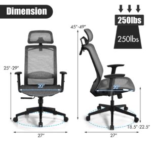 GOFLAME Ergonomic Mesh Office Chair, Swivel Executive Chair with Reclining High Backrest, Rotatable Headrest, Clothes Hanger and Lumbar Support, Height Adjustable Computer Desk Chair (Gray)