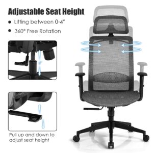 GOFLAME Ergonomic Mesh Office Chair, Swivel Executive Chair with Reclining High Backrest, Rotatable Headrest, Clothes Hanger and Lumbar Support, Height Adjustable Computer Desk Chair (Gray)