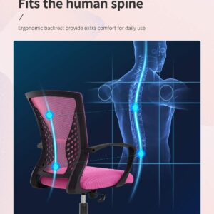 Home Office Chair Mid Back PC Swivel Lumbar Support Adjustable Desk Task Computer Ergonomic Comfortable Mesh Chair with Armrest (Pink)