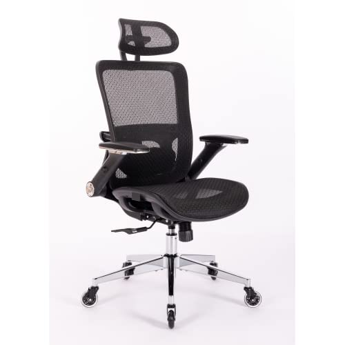 Ergonomic Office Chair, Home Office Desk Chairs, High Back Mesh Computer Chair with Lumber Support Adjustable Headrest, Armrest and Backrest, Swivel Task Executive Chair (Black)