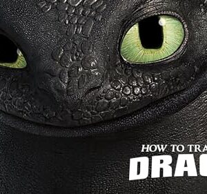 How to Train Your Dragon