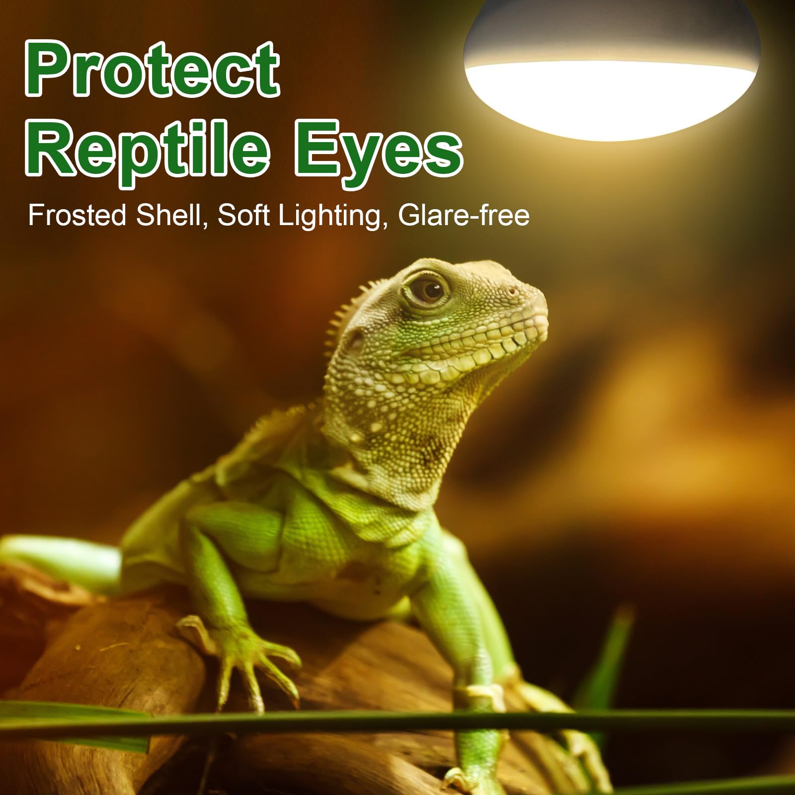 MIXJOY Reptile Heat Lamp 100W 2 Pack, UVA Daylight Basking Spot Light, Amphibians Basking Bulbs Heat Lamps, Heat Lamp Bulbs for Reptiles, Lizard, Tortoise, Bearded Dragon
