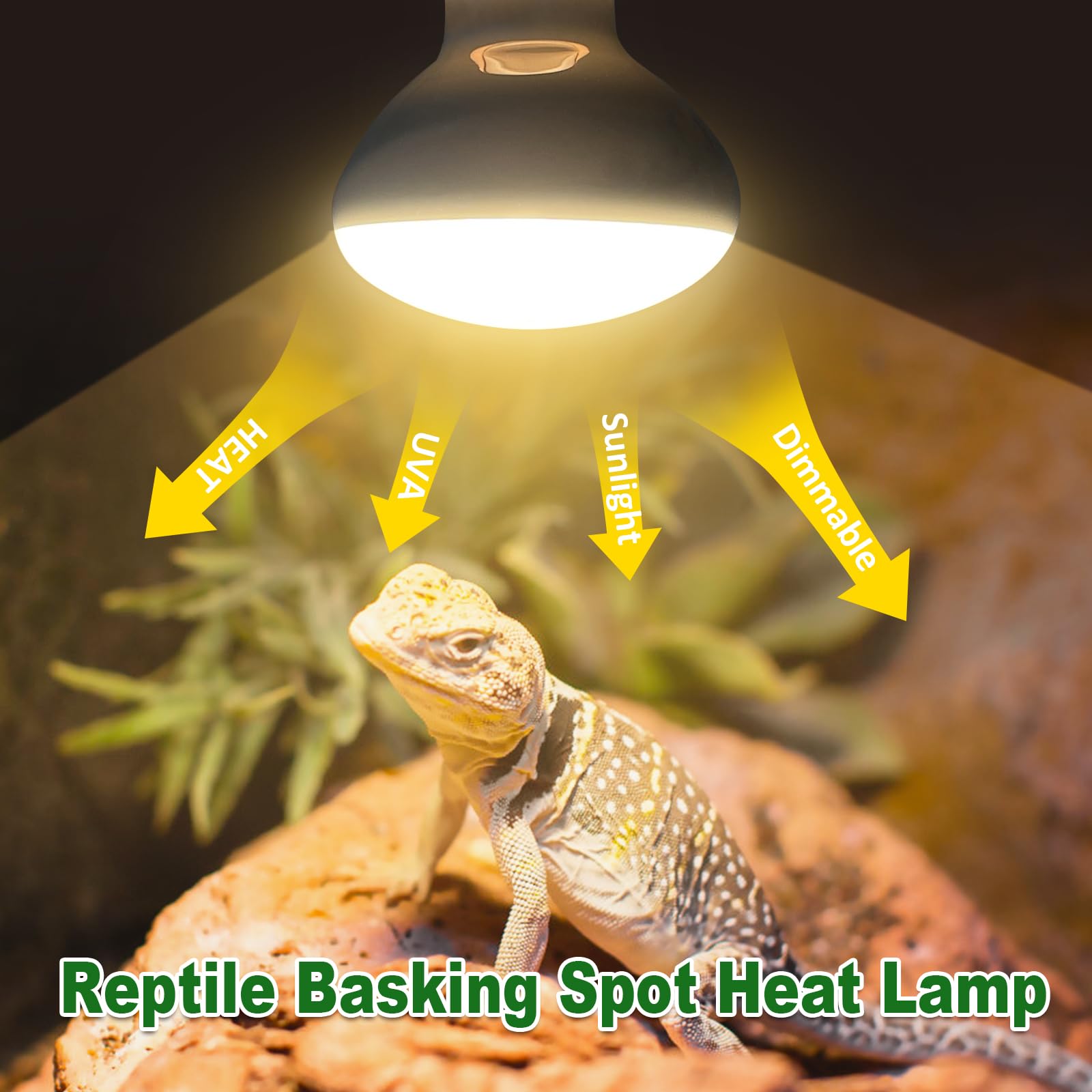 MIXJOY Reptile Heat Lamp 100W 2 Pack, UVA Daylight Basking Spot Light, Amphibians Basking Bulbs Heat Lamps, Heat Lamp Bulbs for Reptiles, Lizard, Tortoise, Bearded Dragon