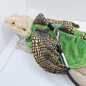 ADOGGYGO Bearded Dragon Harness Leash Set, Lizard Dragon Costume Adjustable Lizard Dinosaur Leash Harness for Bearded Dragon Reptiles (Green, Small)