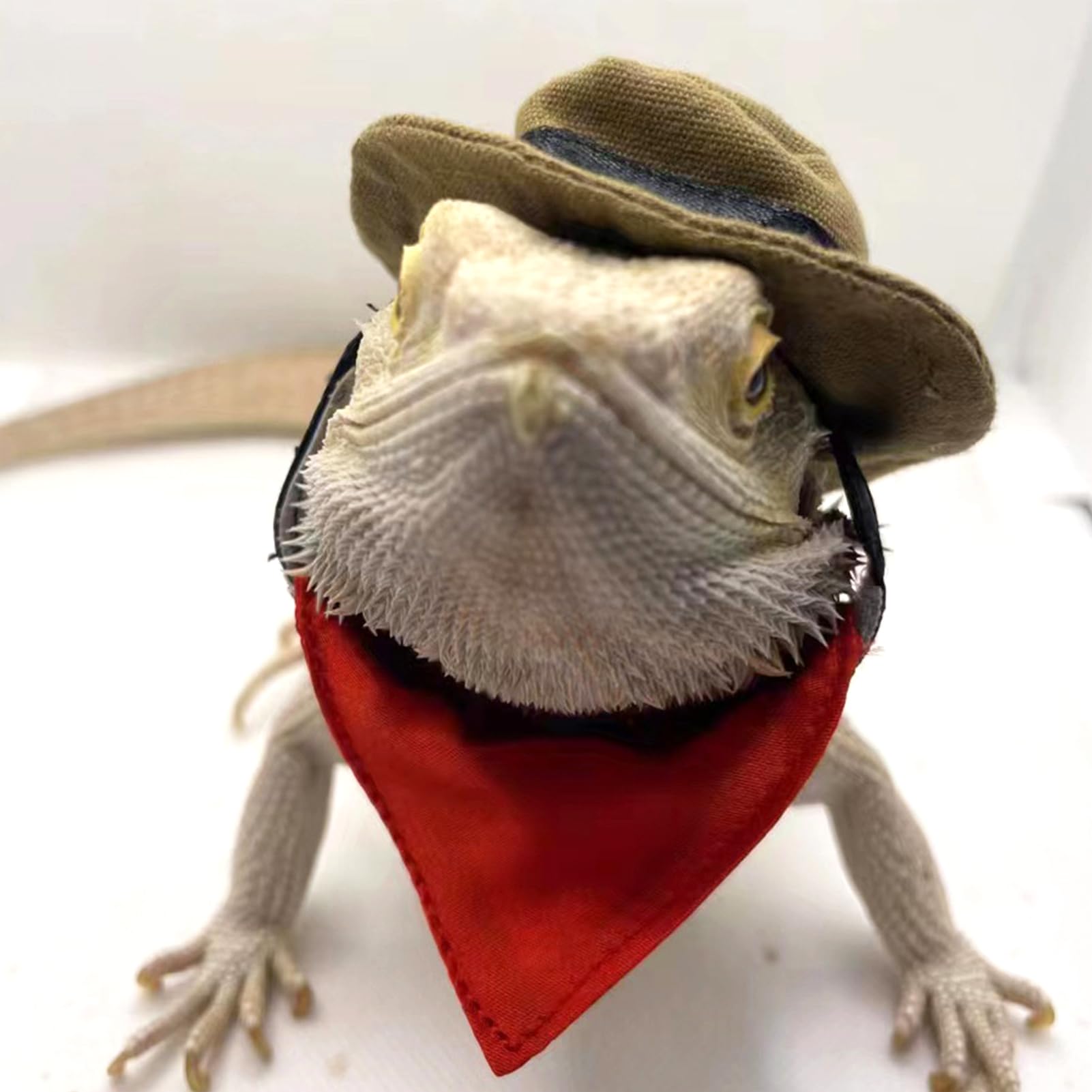 SEIS 2PCS Bearded Dragon Cowboy Hat and Bandana Halloween Lizard Reptile Costume Cool Pet Cap Small Animal Hamster Outfit Suit Cosplay Sculpt (Cowboy)