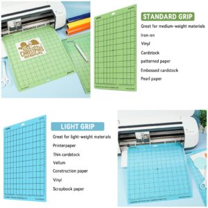 Cutting Mats for Cricut, Lya Vinyl 2 Pack Variety Cutting Mats 12x12 for Cricut Accessories/Maker/Explore Air (LightGrip, StandardGrip), Cutting Mats Replacement Accessories for Cricut