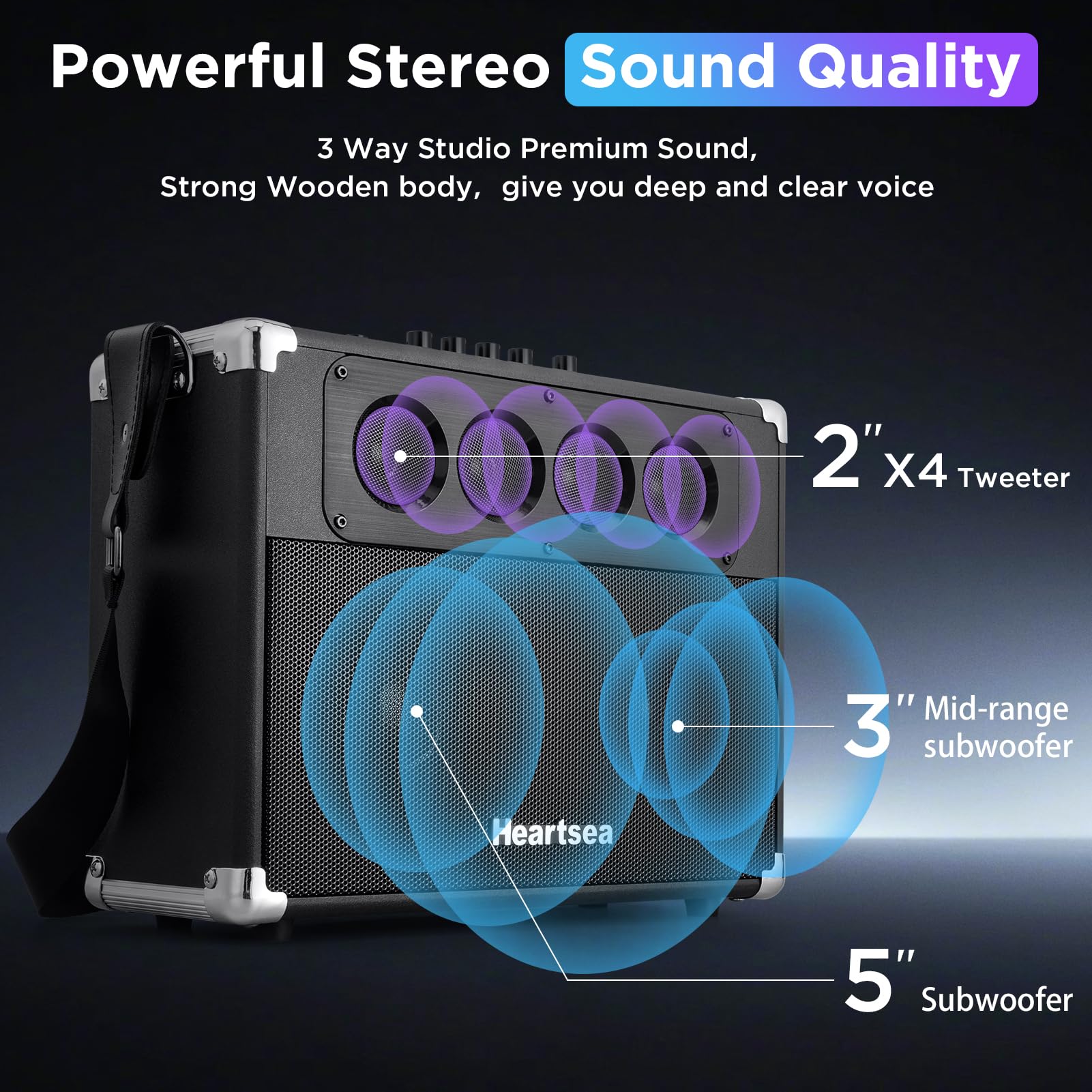 Portable PA Speaker with 2 Wireless Microphones for Adults, Bluetooth Karaoke Machine Rechargeable Battery Outdoor Party Singing, USB/SD Reader/TV/Computer/TWS, Heartsea