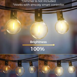 XMCOSY+ Outdoor String Lights 100Ft Dimmable Patio Lights, 50+3 G40 Globe Shatterproof Bulbs, Hanging Waterproof LED String Lights for Outside, Porch, Patio, Yard, Bistro, Café