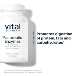 Vital Nutrients Pancreatic Enzymes 1000mg (Full Strength) | Pancreatin Digestion Supplement with Protease, Amylase & Lipase | Digestive Enzymes | Gluten, Dairy, and Soy Free | 90 Capsules