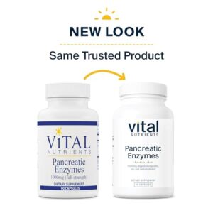 Vital Nutrients Pancreatic Enzymes 1000mg (Full Strength) | Pancreatin Digestion Supplement with Protease, Amylase & Lipase | Digestive Enzymes | Gluten, Dairy, and Soy Free | 90 Capsules