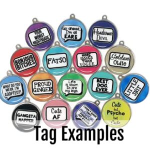 Wag-A-Tude Tags EPI Dog Tag Exocrine Pancreatic Insufficiency Do Not Feed Pet Tag for Dogs, Cats and Humans (Large)