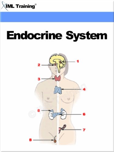 Endocrine System (Human Body Book 5)