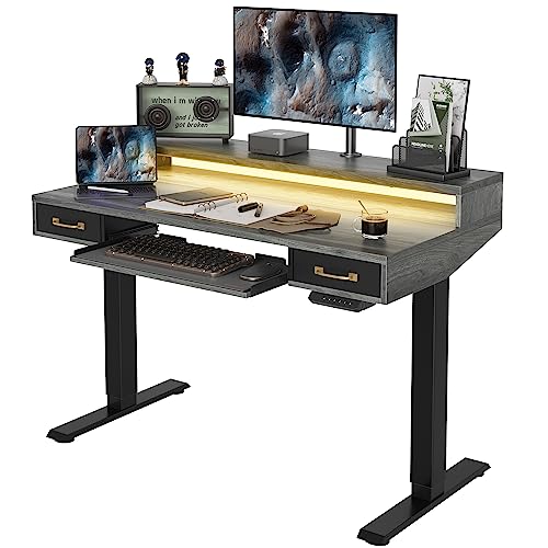 FEZIBO 48 x 24 Inch Height Adjustable Electric Standing Desk with Double Drawers&Keyboard Tray, Stand Up Desk with LED Strips, Sit Stand Desk with Monitor Stand, Rustic Grey